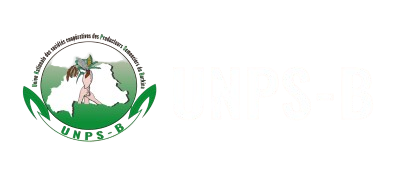 unpsb.bf